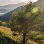 Mallorca en temporada baja