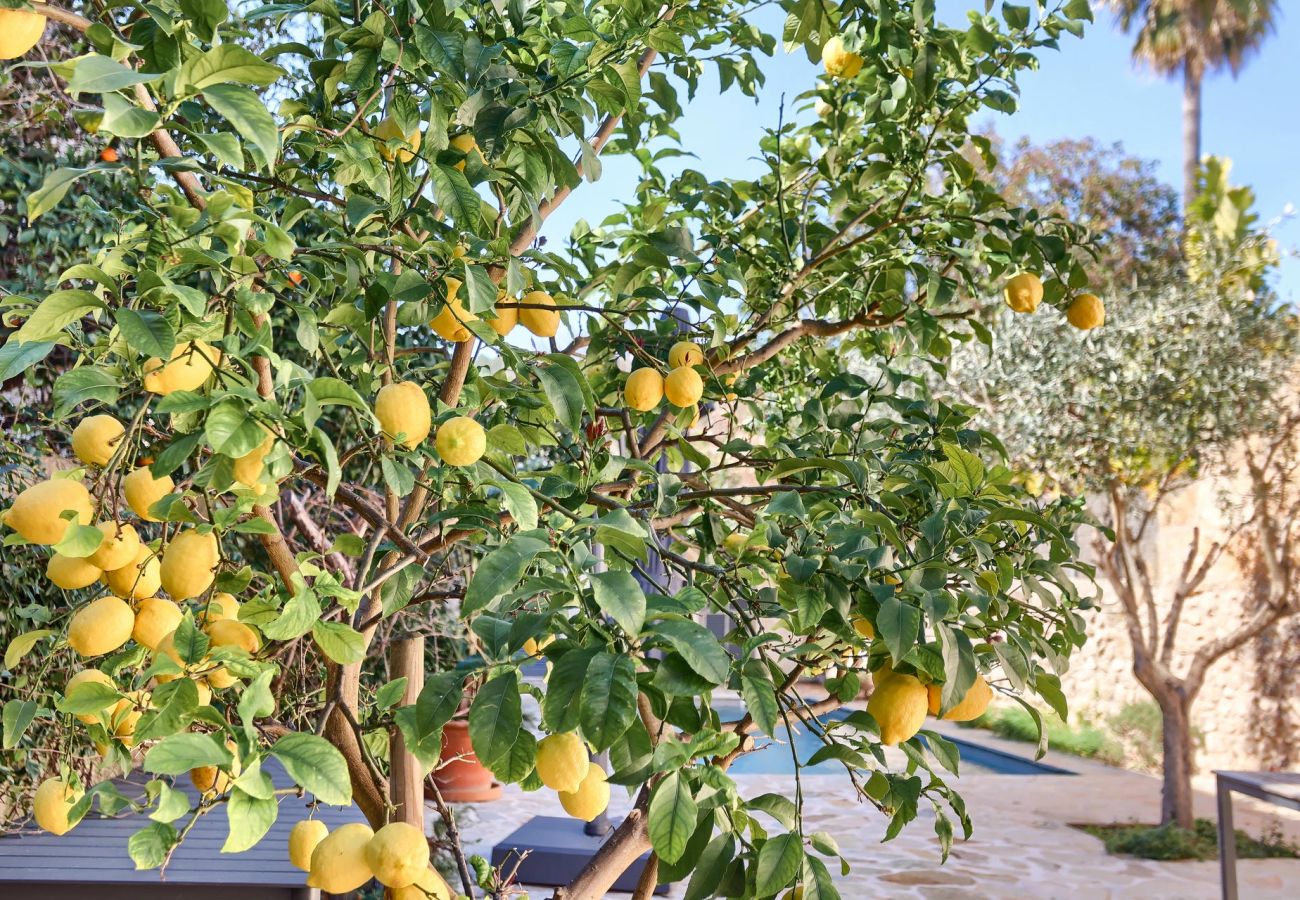 Doppelhaushälfte in Pollensa / Pollença - Villa Llum