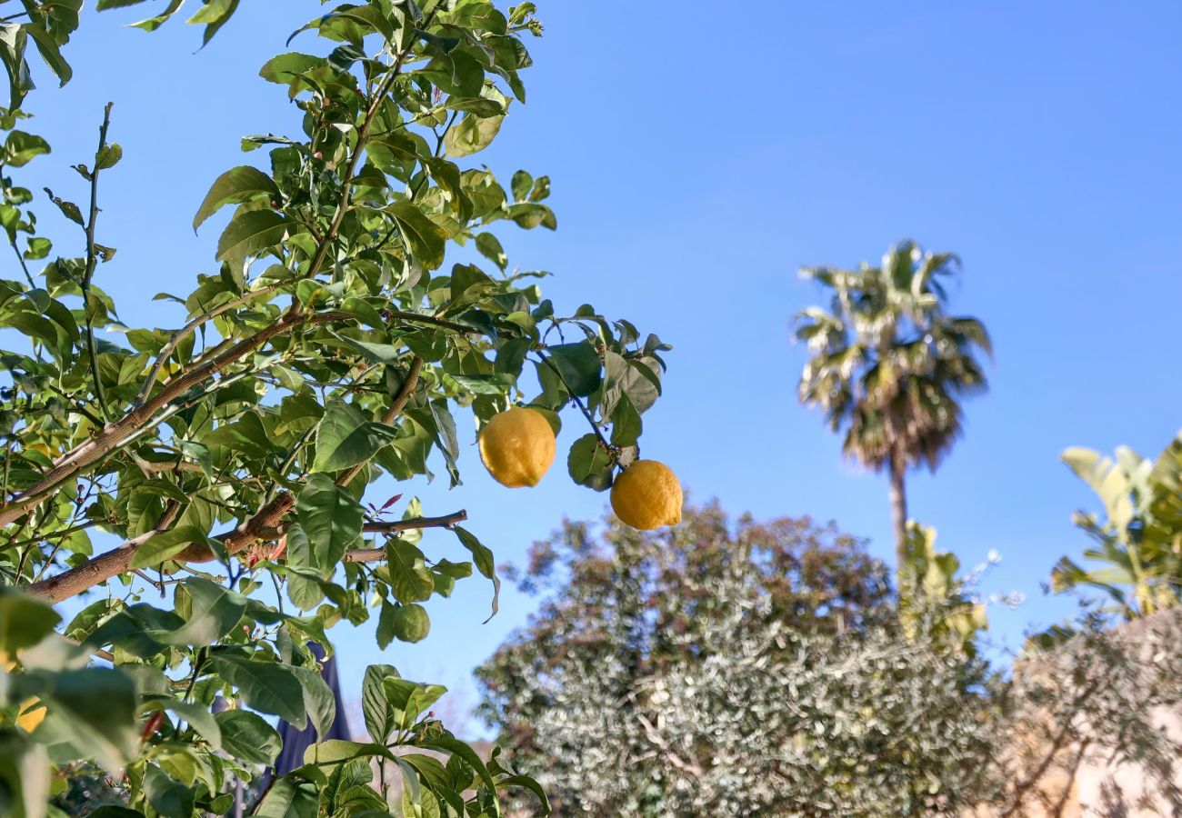 Doppelhaushälfte in Pollensa / Pollença - Villa Llum