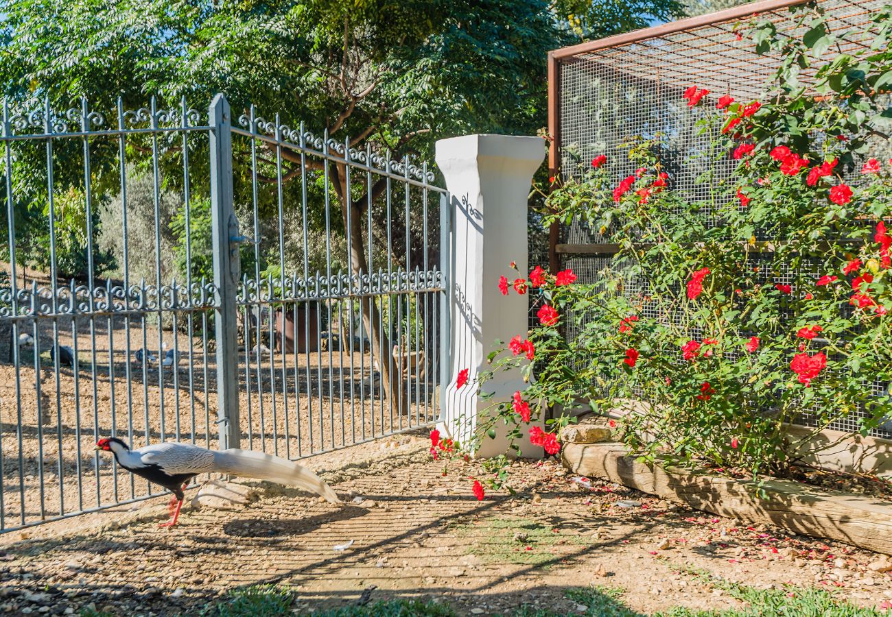 Finca in Pollensa / Pollença - Rota de Morell