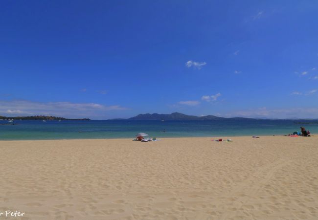 Ferienwohnung in Puerto Pollensa - Atilio Boveri Ferienwohnung in Puerto Pollensa - Atilio Boveri