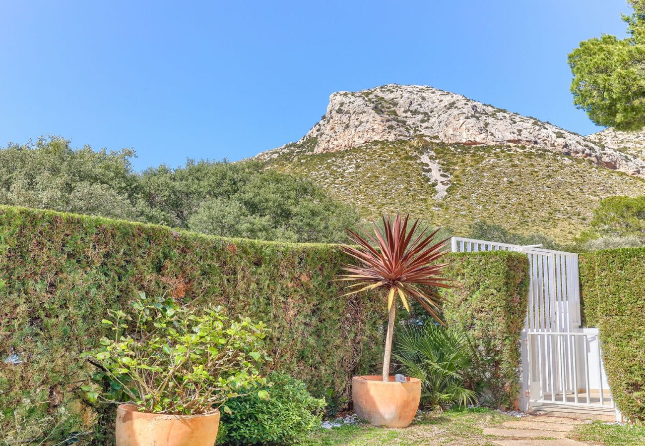 Ferienwohnung in Puerto Pollensa - Bellresguard Garden Flat C