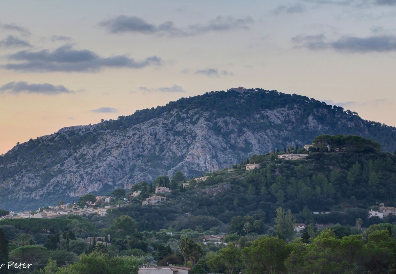 Villa in Pollensa / Pollença - Villa Carabassot