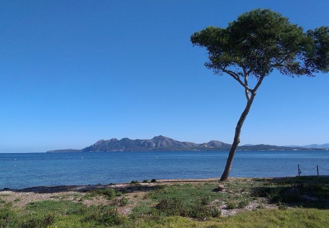 Ferienwohnung in Puerto Pollensa - Pollentia Mar Ferienwohnung in Puerto Pollensa - Pollentia Mar
