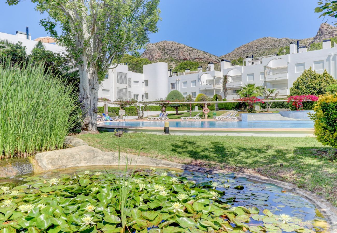 Ferienwohnung in Puerto Pollensa - Bellresguard First Floor J