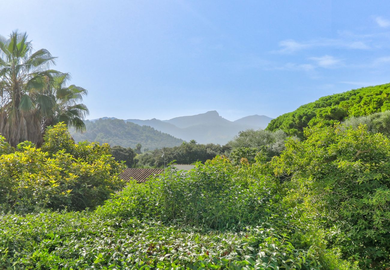 Villa in Pollensa / Pollença - Villa Segui