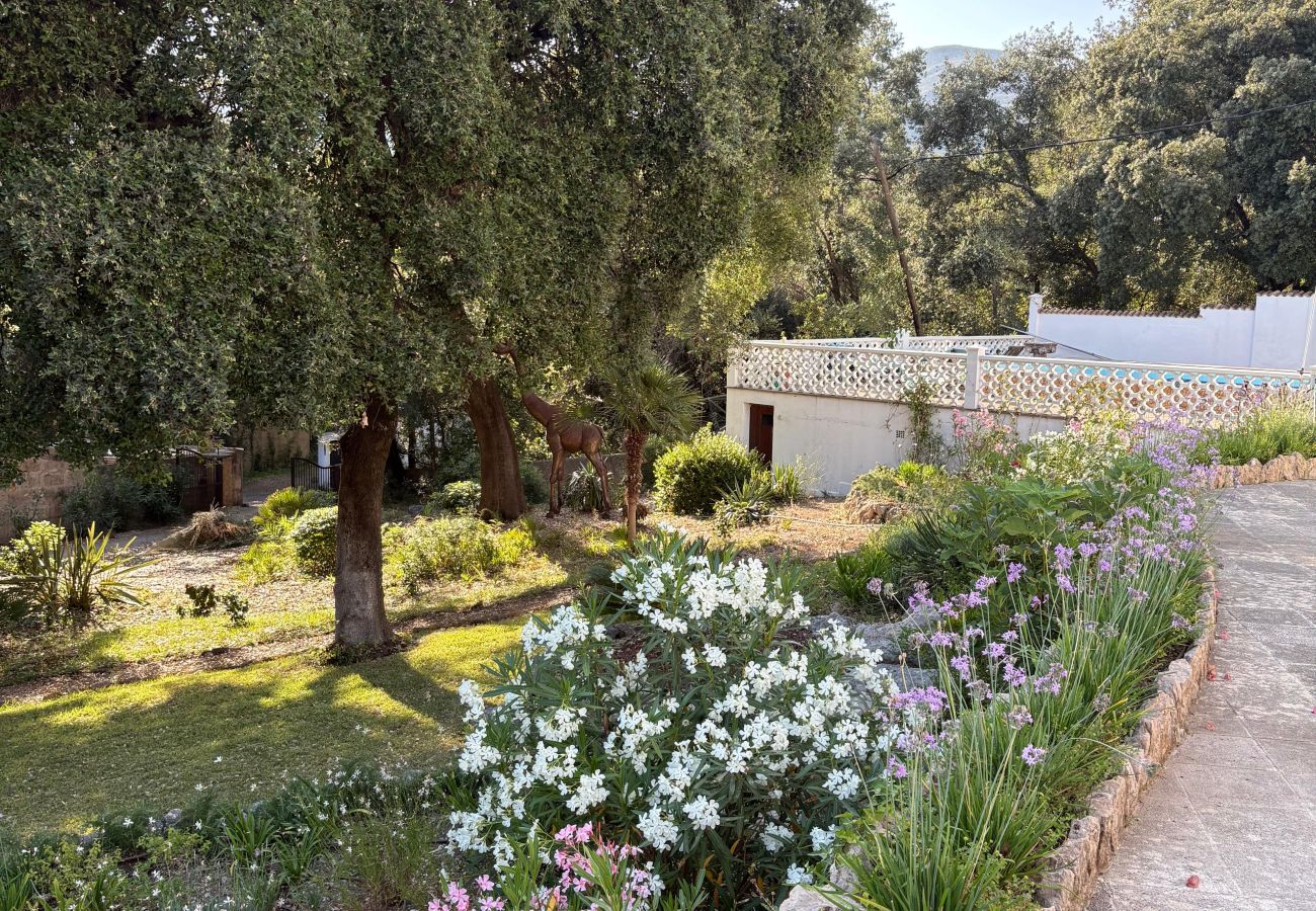 Villa in Pollensa / Pollença - Casa Ladera