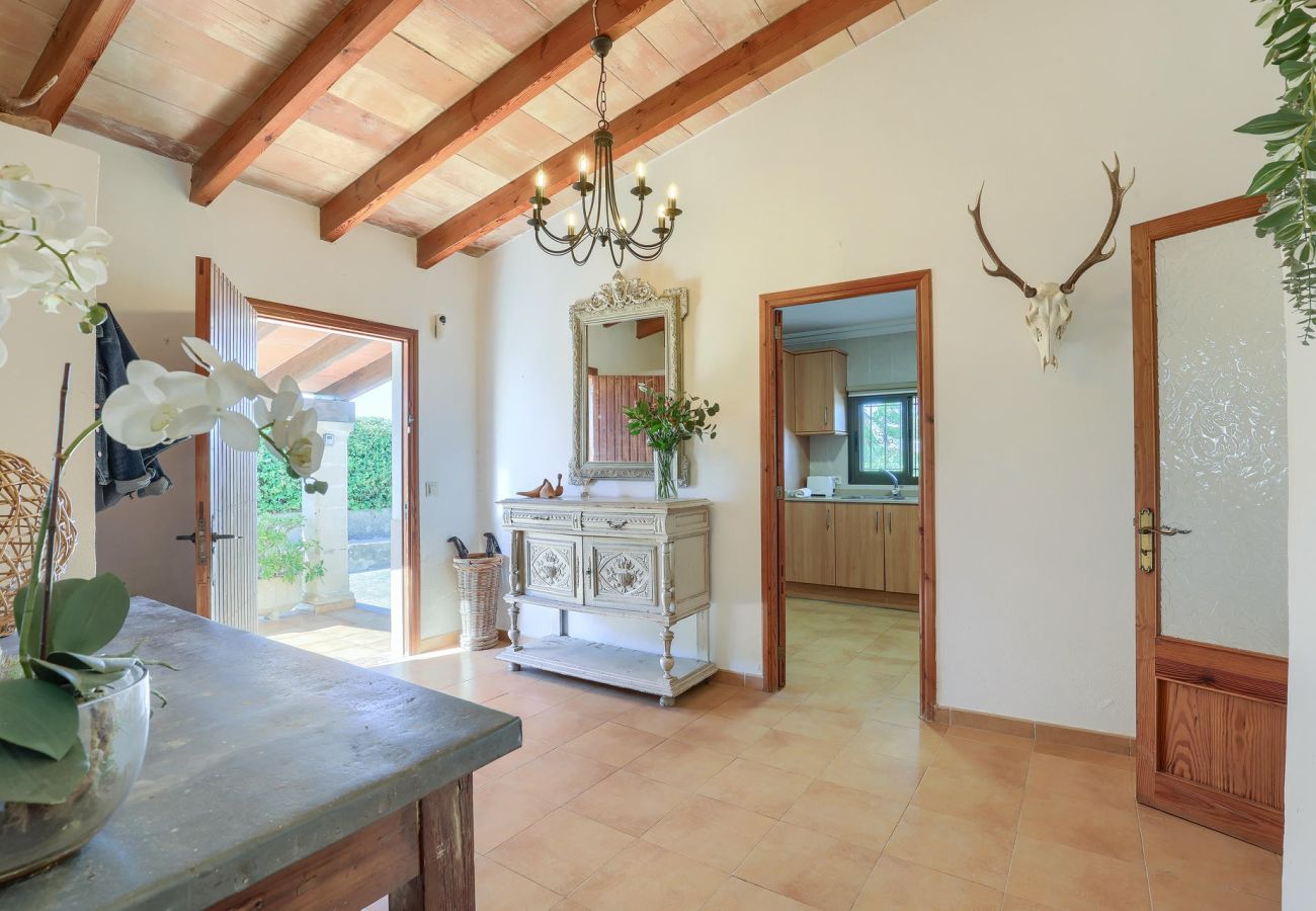 Villa in Pollensa / Pollença - Villa Bosque
