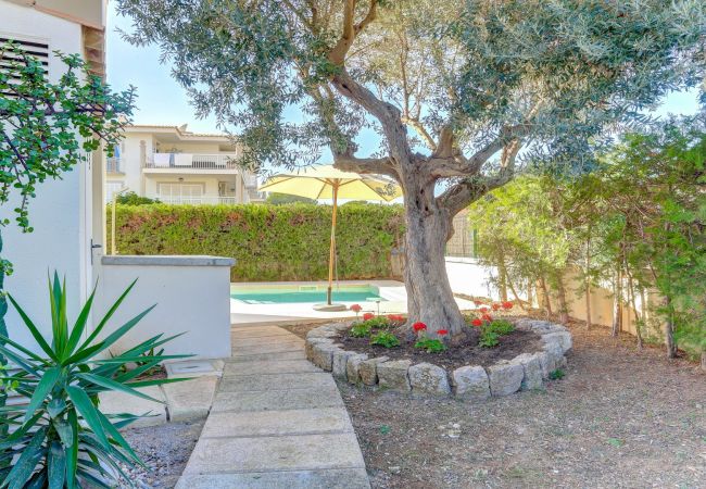 Apartamento en Puerto Pollensa - Vila Nova (Colomer 8) Apartamento en Puerto Pollensa - Vila Nova (Colomer 8)