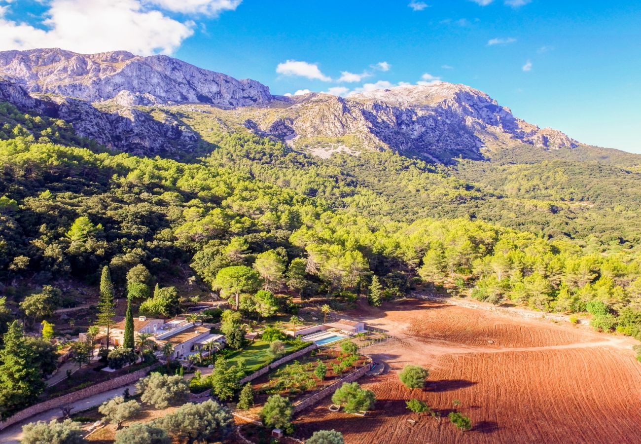 Finca en Pollensa / Pollença - Guillem Bet