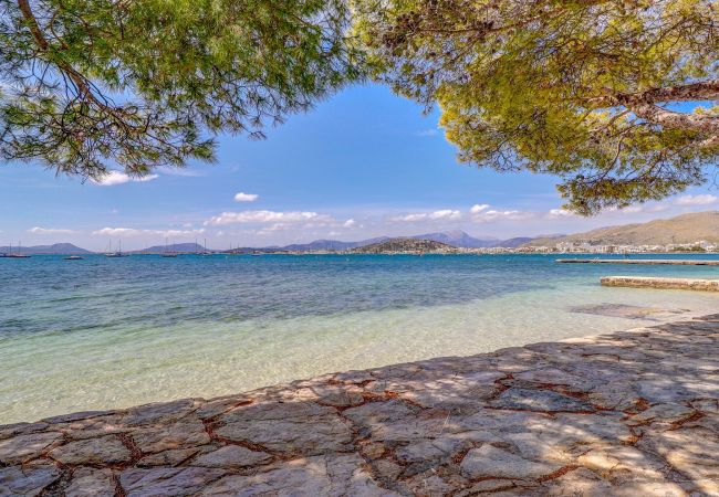 Apartamento en Puerto Pollensa - Bellresguard Penthouse  N Apartamento en Puerto Pollensa - Bellresguard Penthouse  N