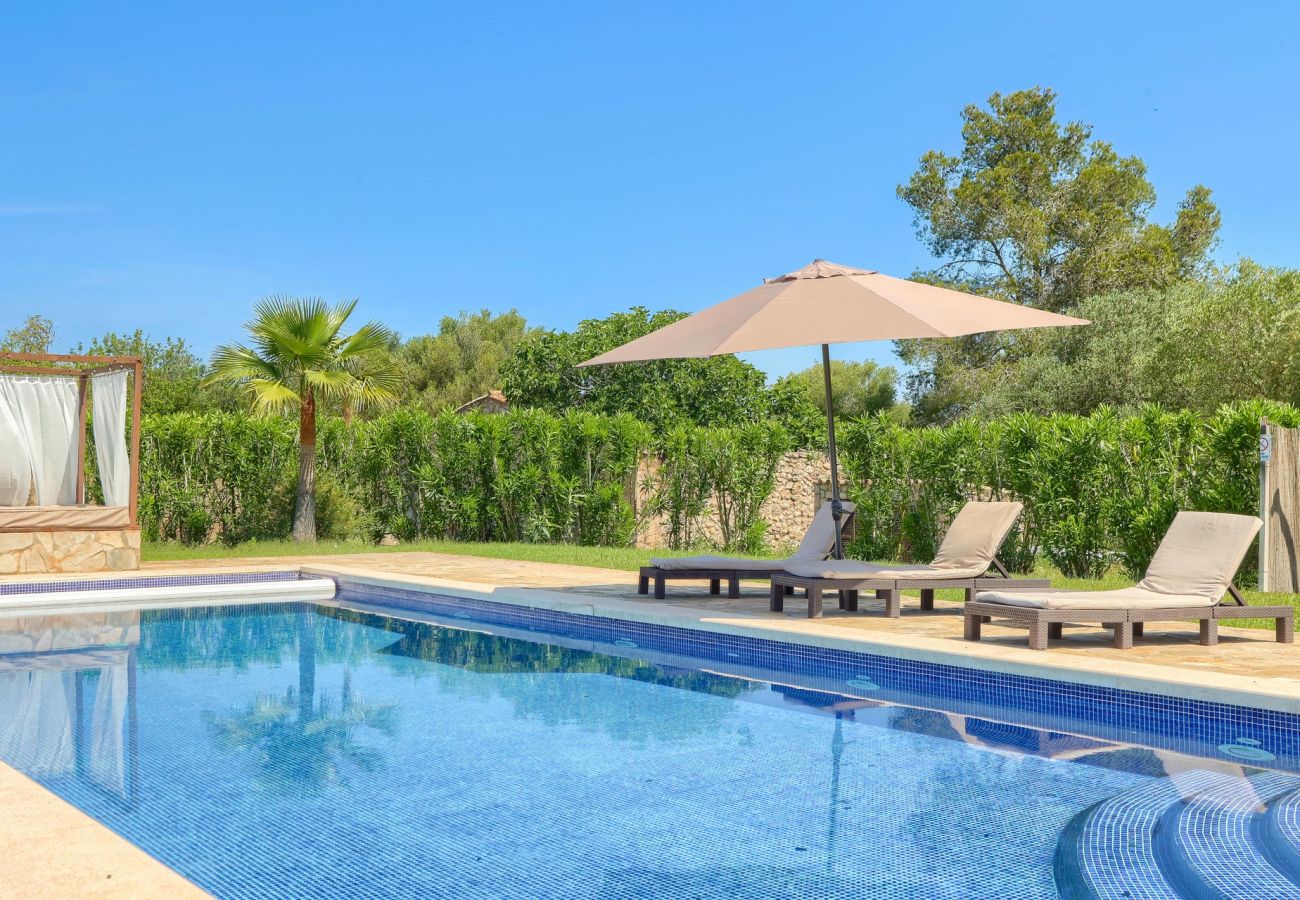 Villa en Pollensa / Pollença - Olivo de la Roca