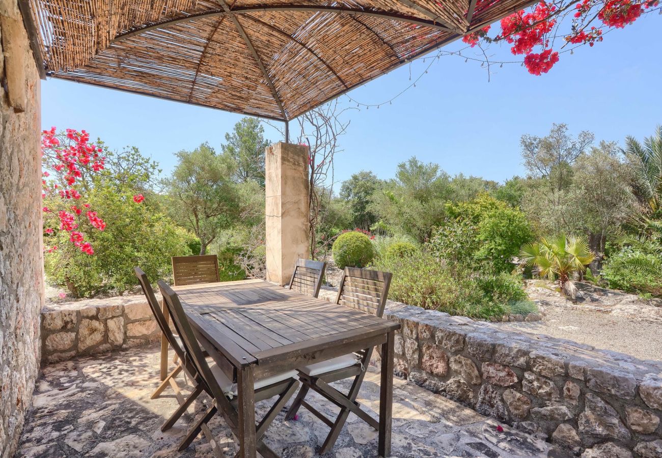 Villa en Pollensa / Pollença - Olivo de la Roca