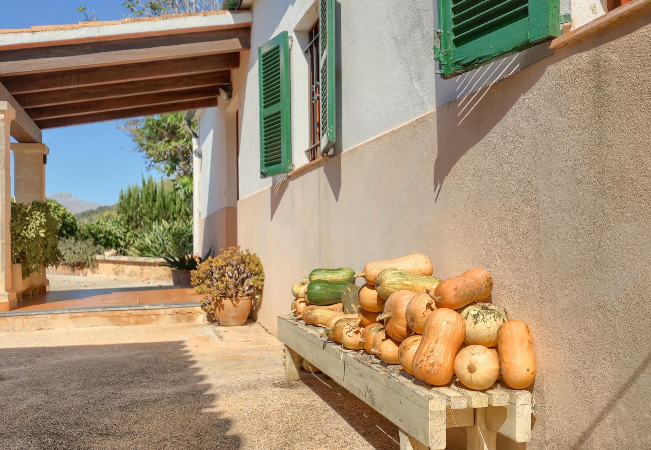 Villa en Pollensa / Pollença - Villa Bosque