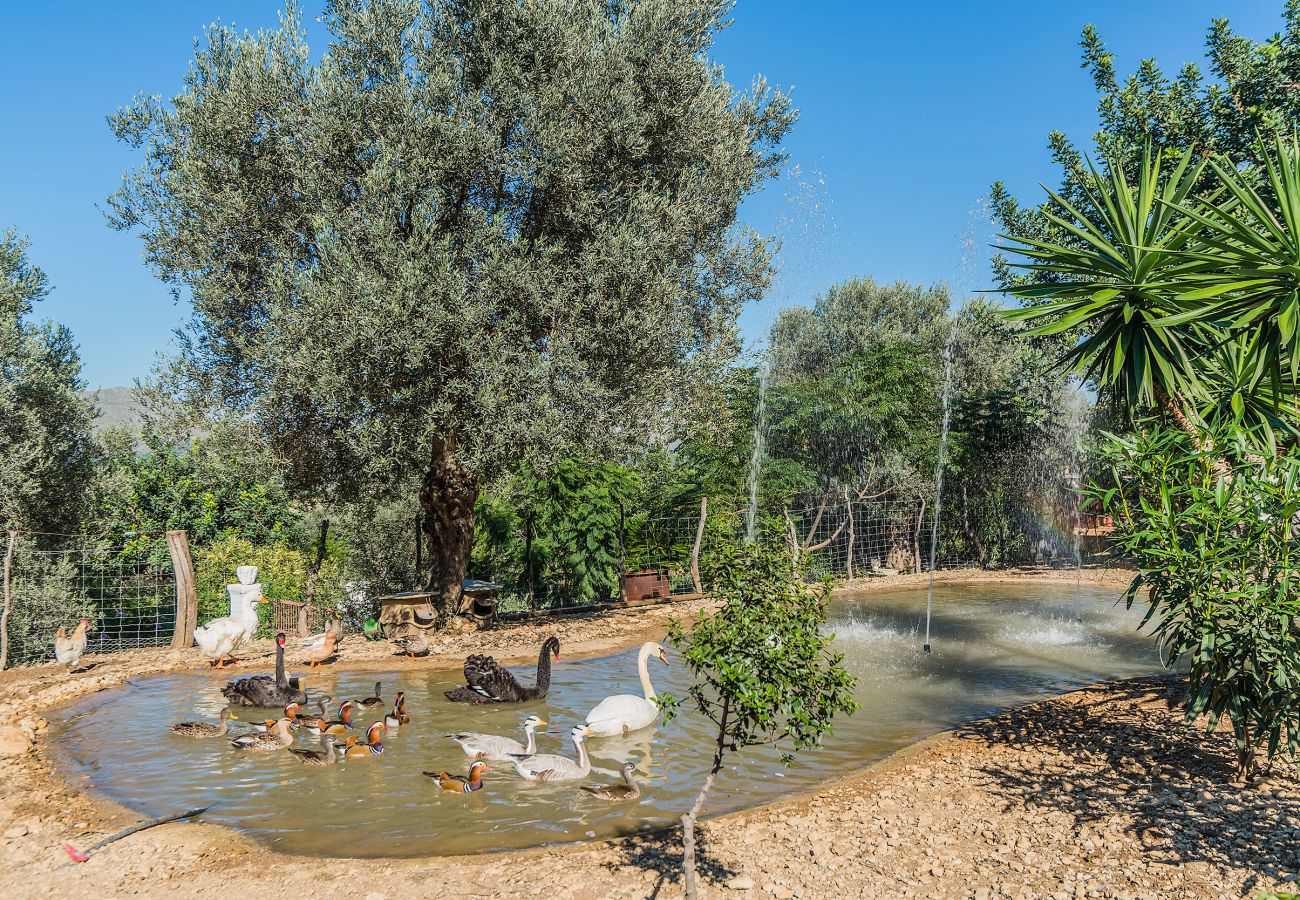 Country house in Pollensa / Pollença - Rota de Morell