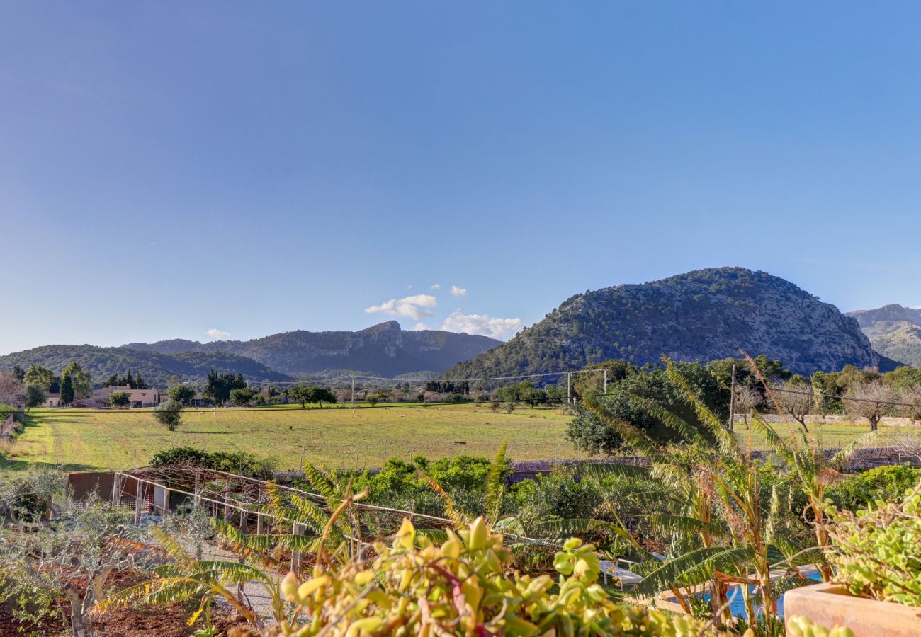 Villa in Pollensa / Pollença - Villa Carabassot