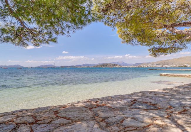 Apartment in Puerto Pollensa - Vila Nova (Colomer 8) Apartment in Puerto Pollensa - Vila Nova (Colomer 8)