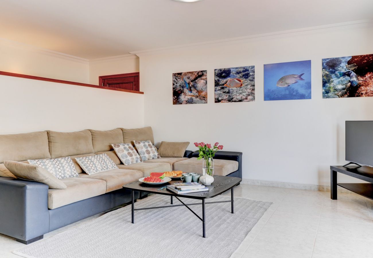 Apartment in Puerto Pollensa - Vila Nova (Colomer 8)