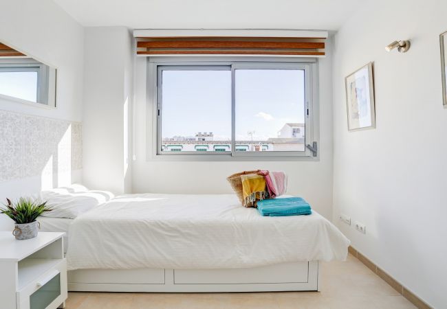 Apartment in Puerto Pollensa - Pollentia Mar Apartment in Puerto Pollensa - Pollentia Mar
