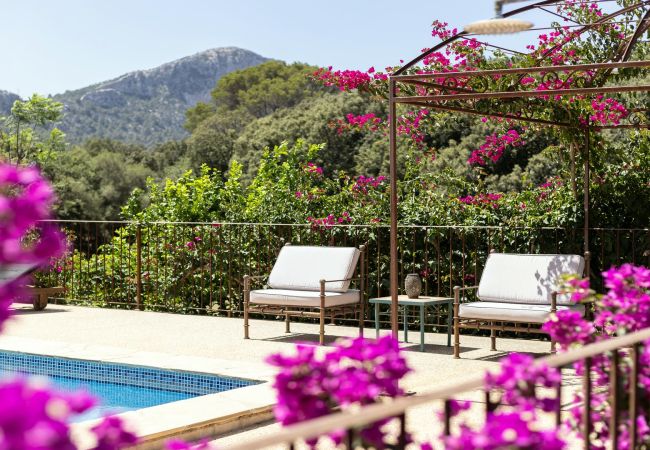 Country house in Pollensa / Pollença - Finca La Coma Country house in Pollensa / Pollença - Finca La Coma