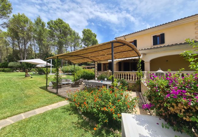 Villa in Pollensa / Pollença - Villa Jacellia