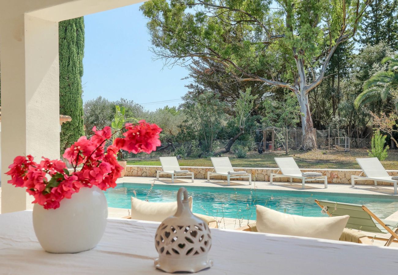 Villa in Pollensa / Pollença - Villa Canova