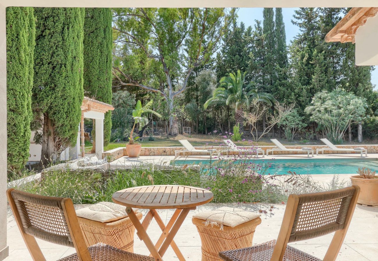 Villa in Pollensa / Pollença - Villa Canova