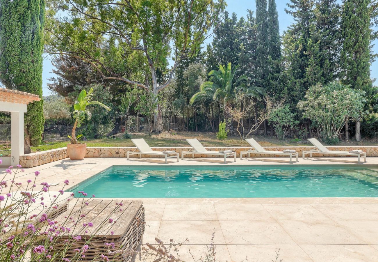 Villa in Pollensa / Pollença - Villa Canova