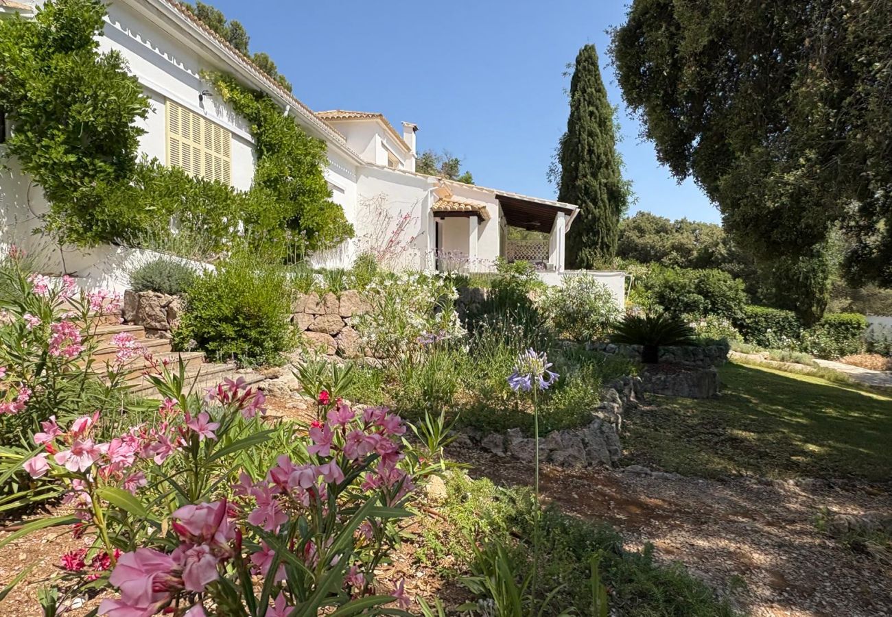 Villa in Pollensa / Pollença - Casa Ladera