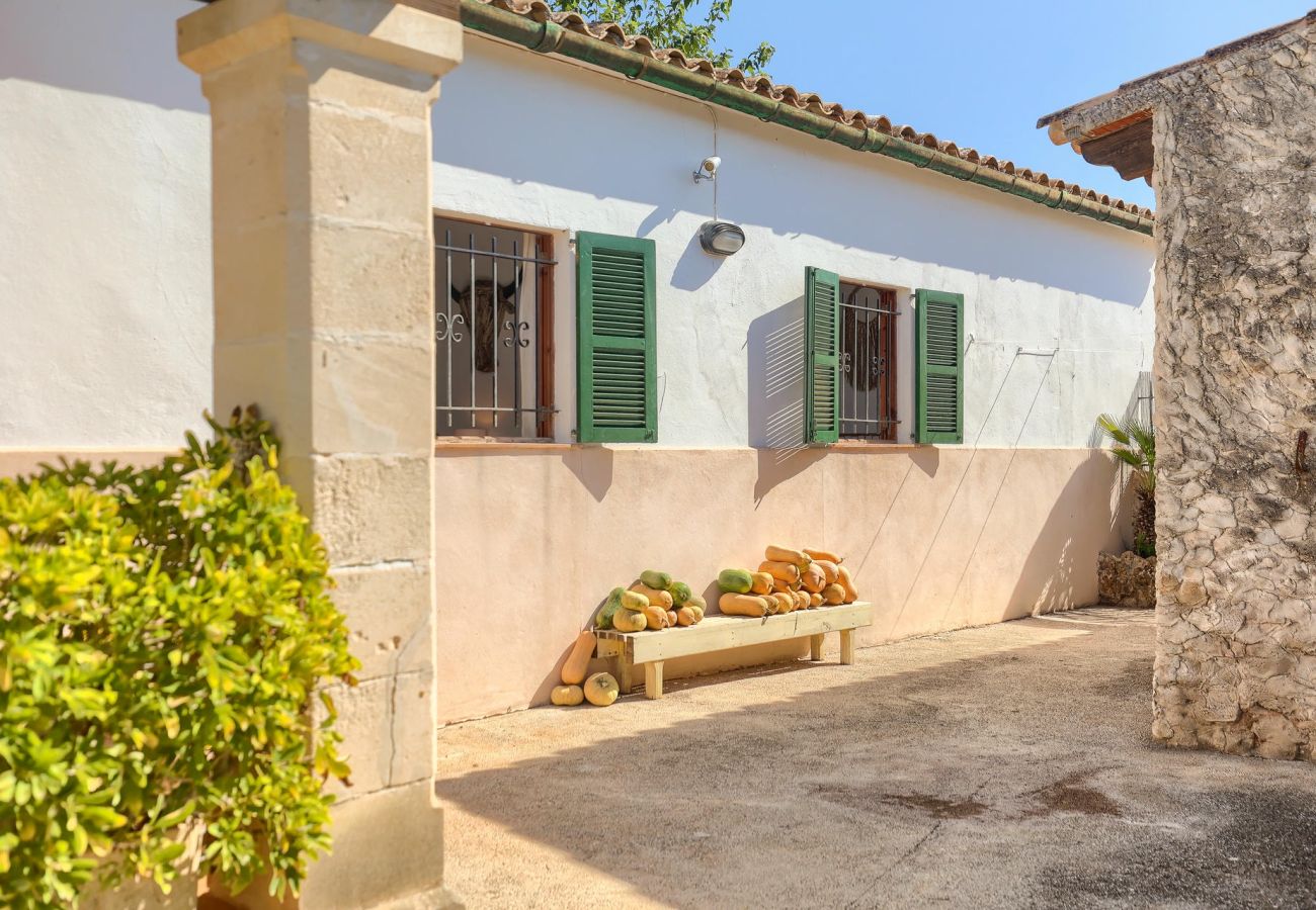 Villa in Pollensa / Pollença - Villa Bosque